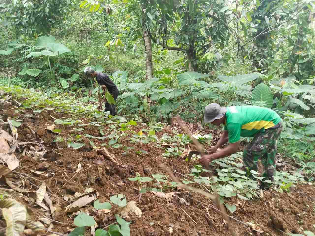 IMG-20250317-WA0308_XHgJEBWo7B