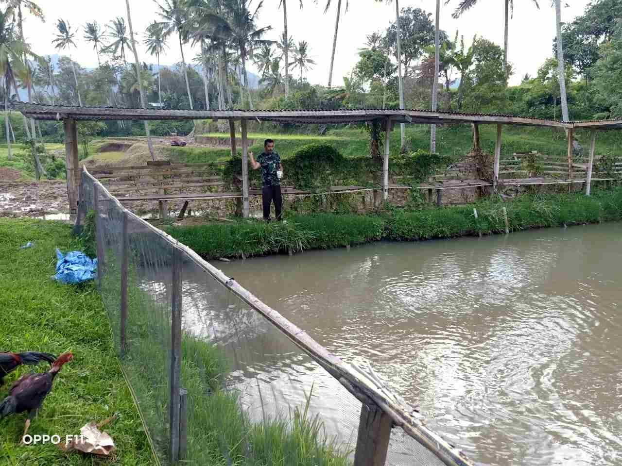 IMG-20250319-WA0224_N3AvcFaE4G