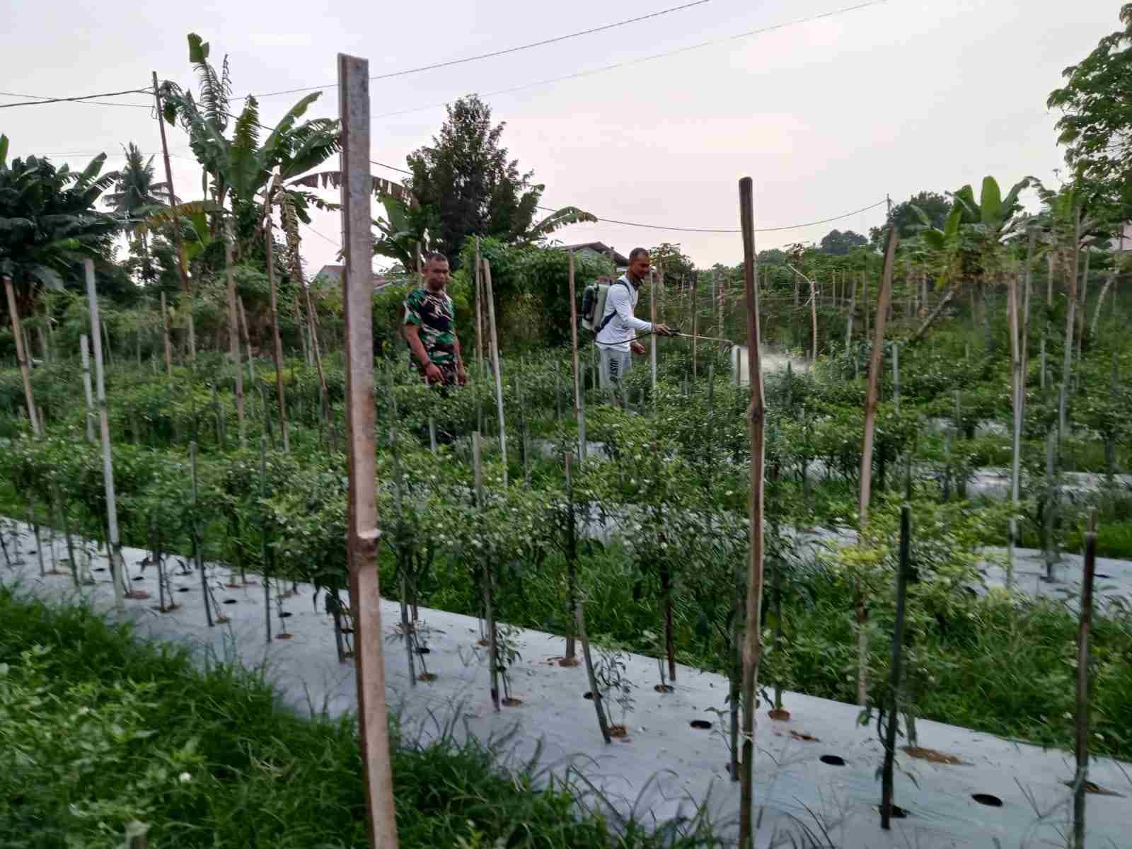 IMG-20250319-WA0229_khoXgwwx54