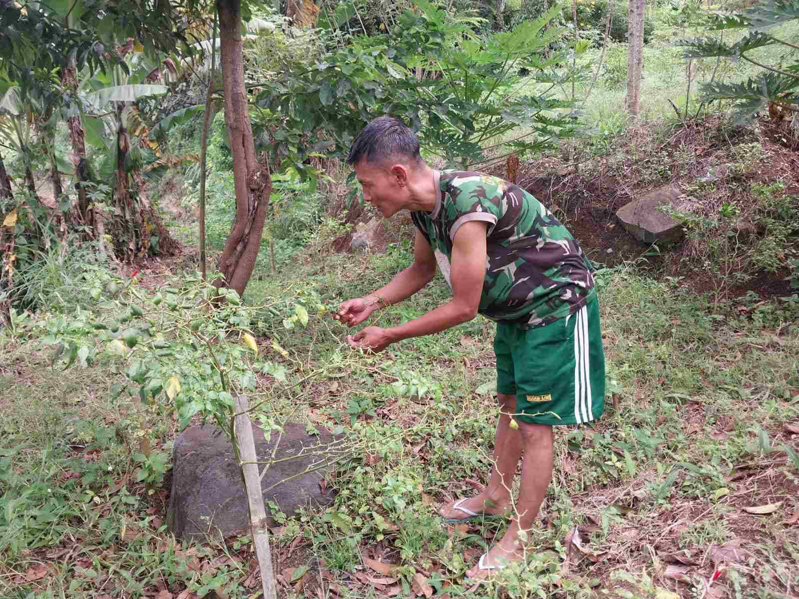 IMG-20250321-WA0203_8hXSahmN4t