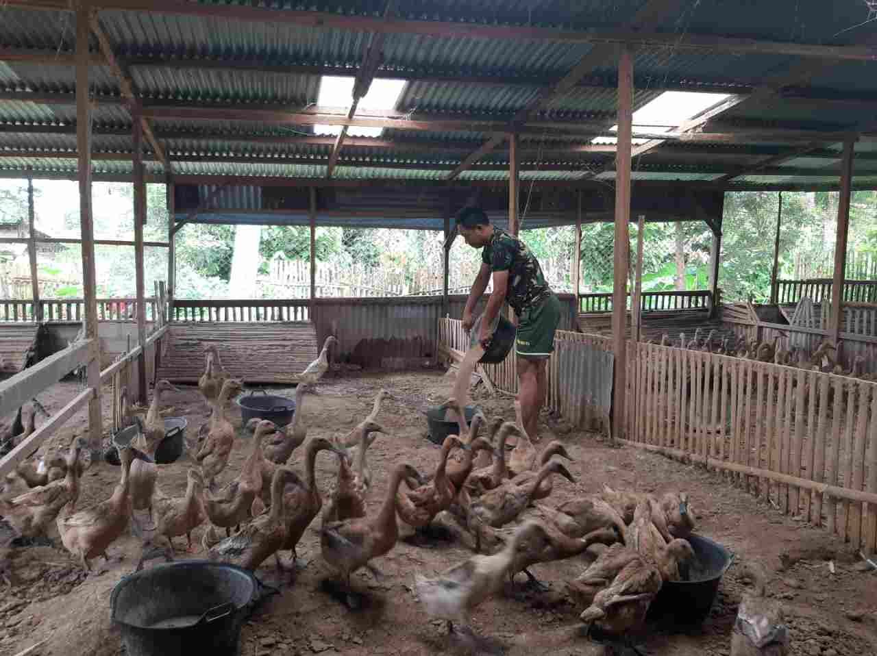 IMG-20250323-WA0149_IFVZM8gk2E