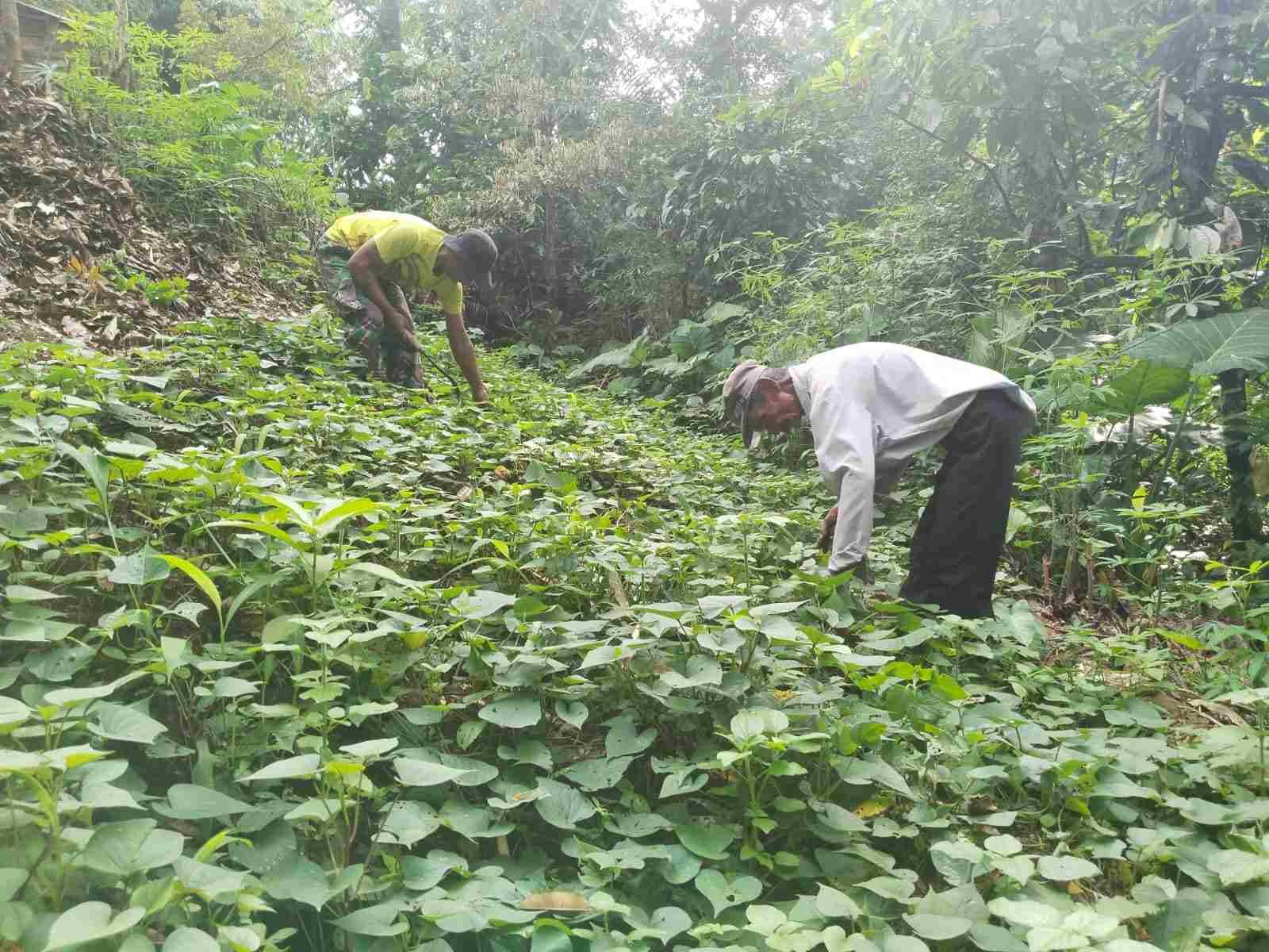 IMG-20250324-WA0167_Rc9RgmAb8d