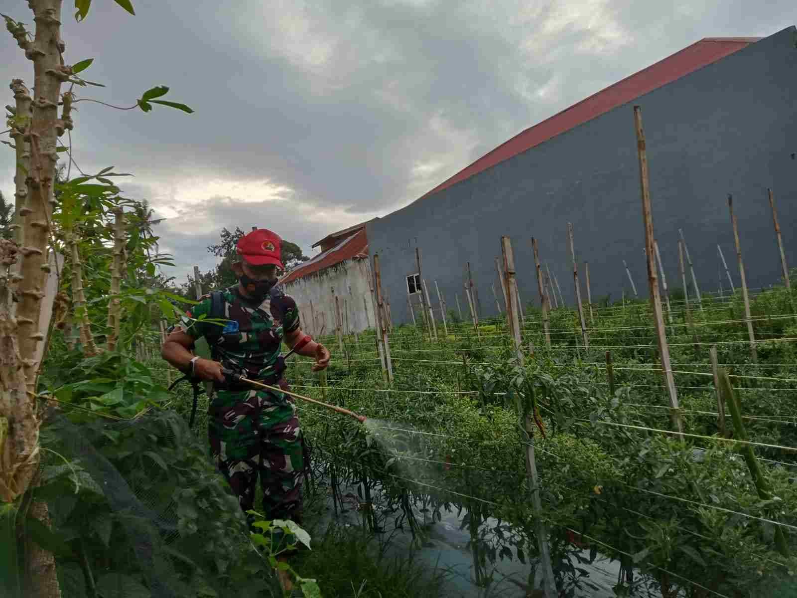 IMG-20250326-WA0203_OqL3kVBM5t