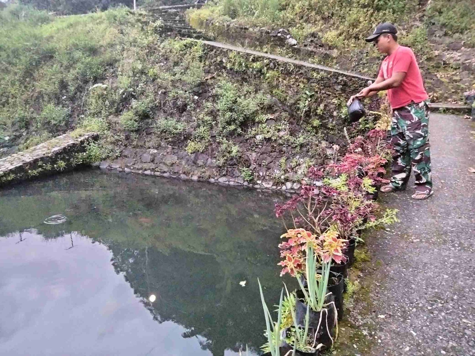 IMG-20250319-WA0228_7gM3FByw3a