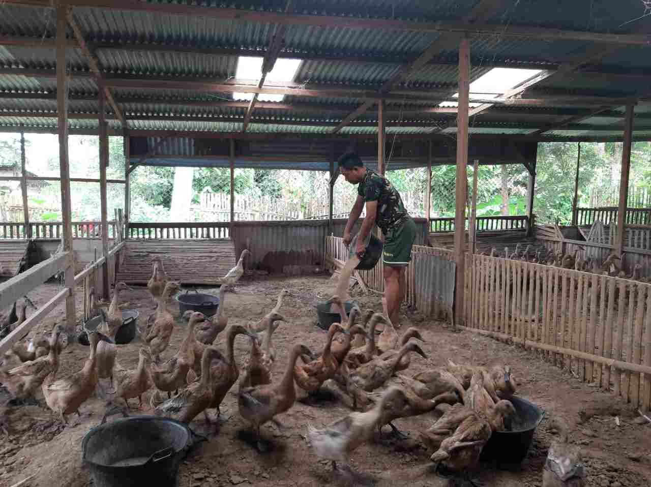 IMG-20250323-WA0149_iFQadpfX1A