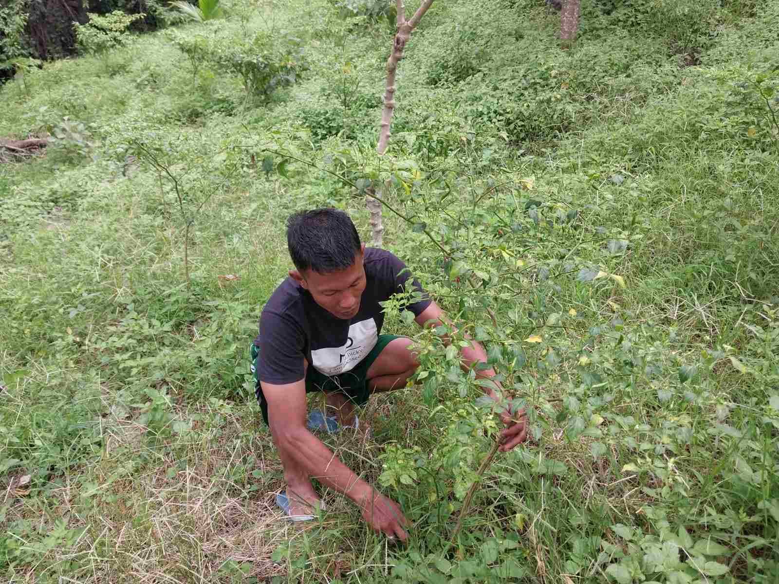 IMG-20250408-WA0089_QYBh1NBg6s