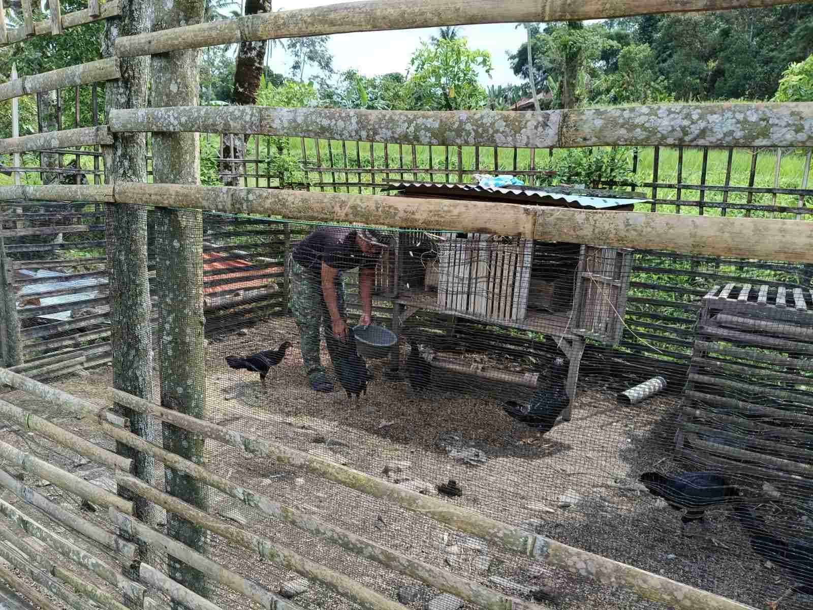 IMG-20250409-WA0130_SytDGBk82F