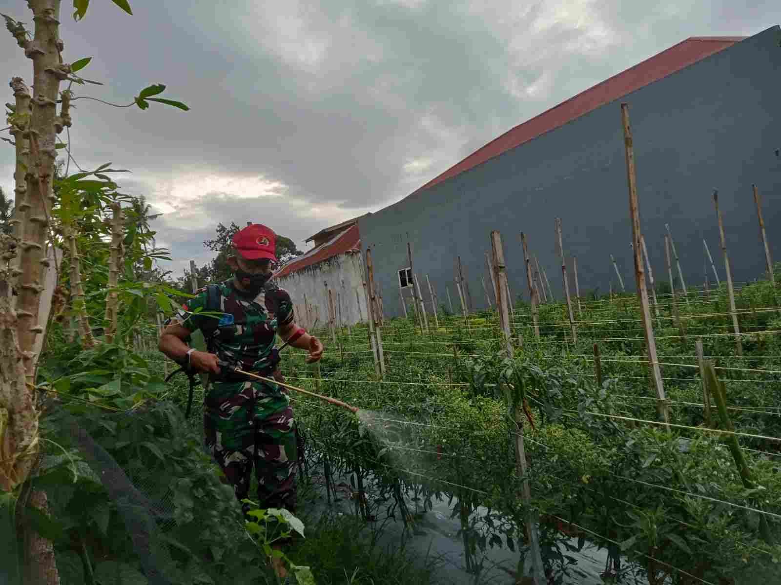 IMG-20250413-WA0182(1)_gYC2Yp2C9G