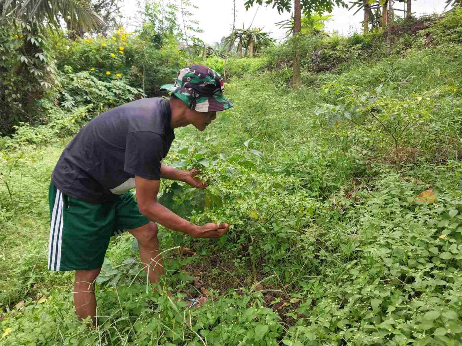 IMG-20250415-WA0277_ryzLBkQi5v