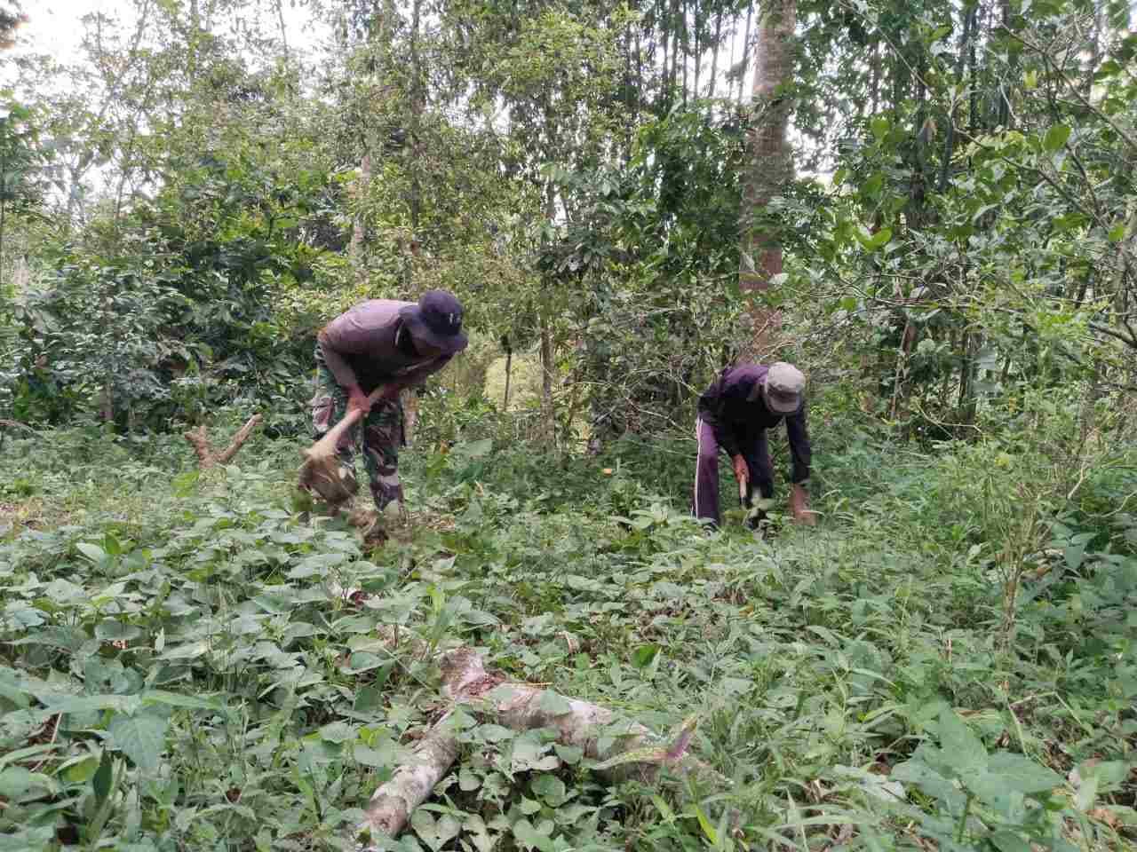 IMG-20250420-WA0167_vAhF5zFz4c