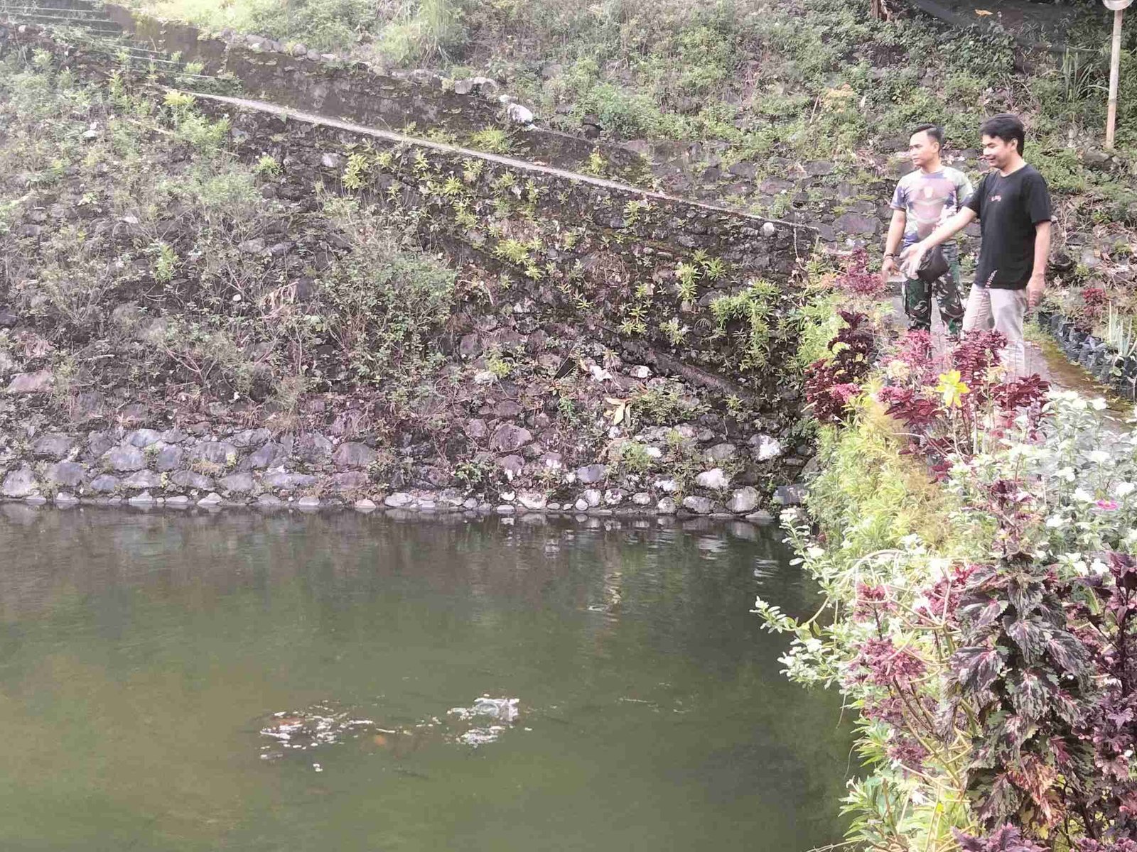 IMG-20250422-WA0158_H0geqd1s1F