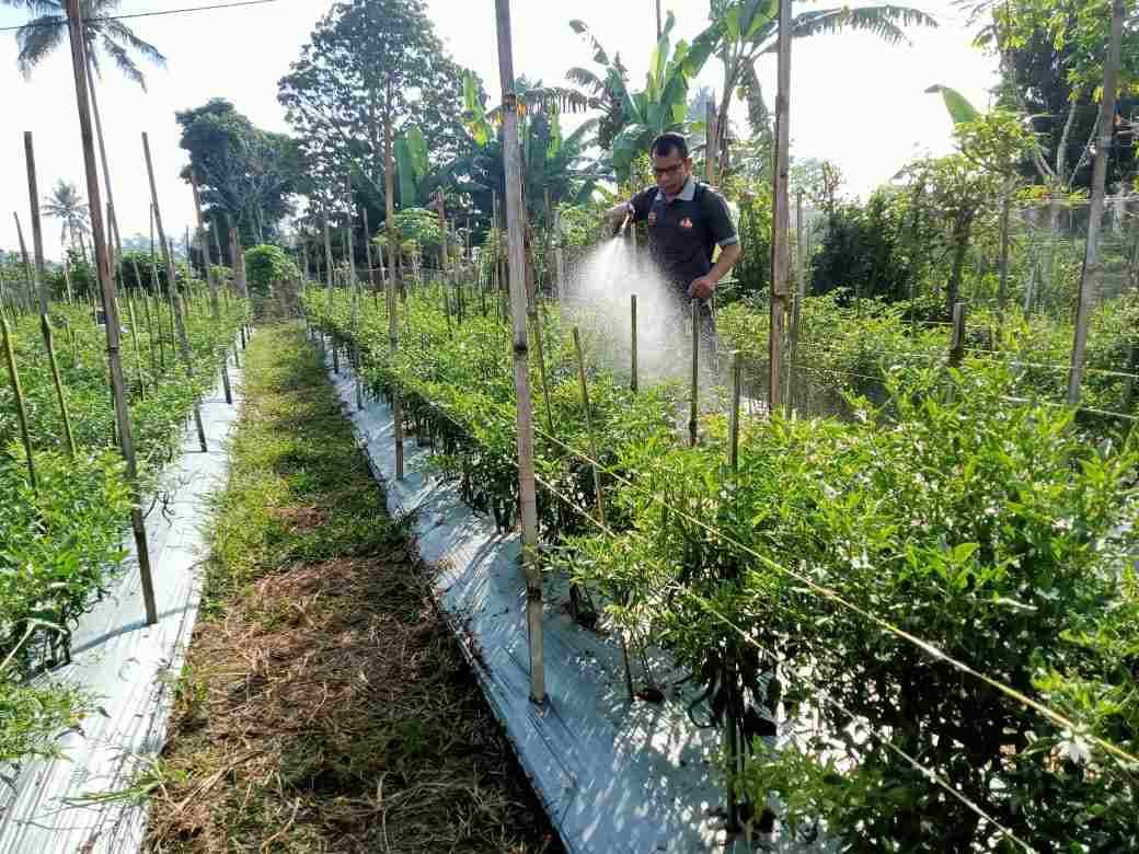 IMG-20250422-WA0159_EqrTxOXJ2F