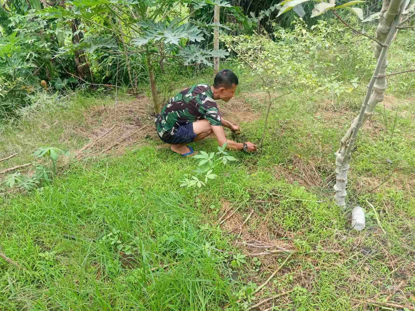 IMG-20250424-WA0204_BpiQj2hi1T