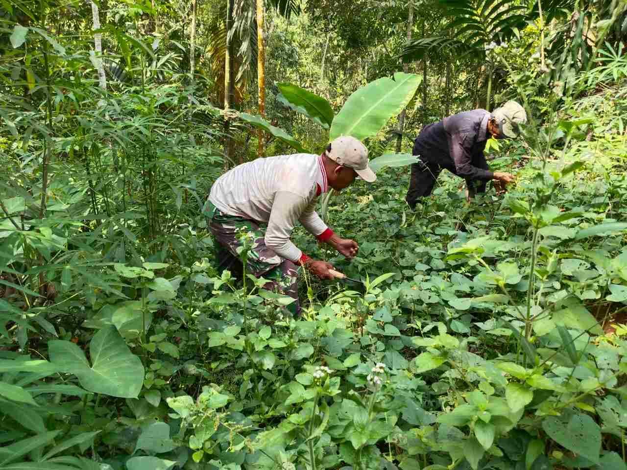 IMG-20250427-WA0138_6oxxBkCA7x