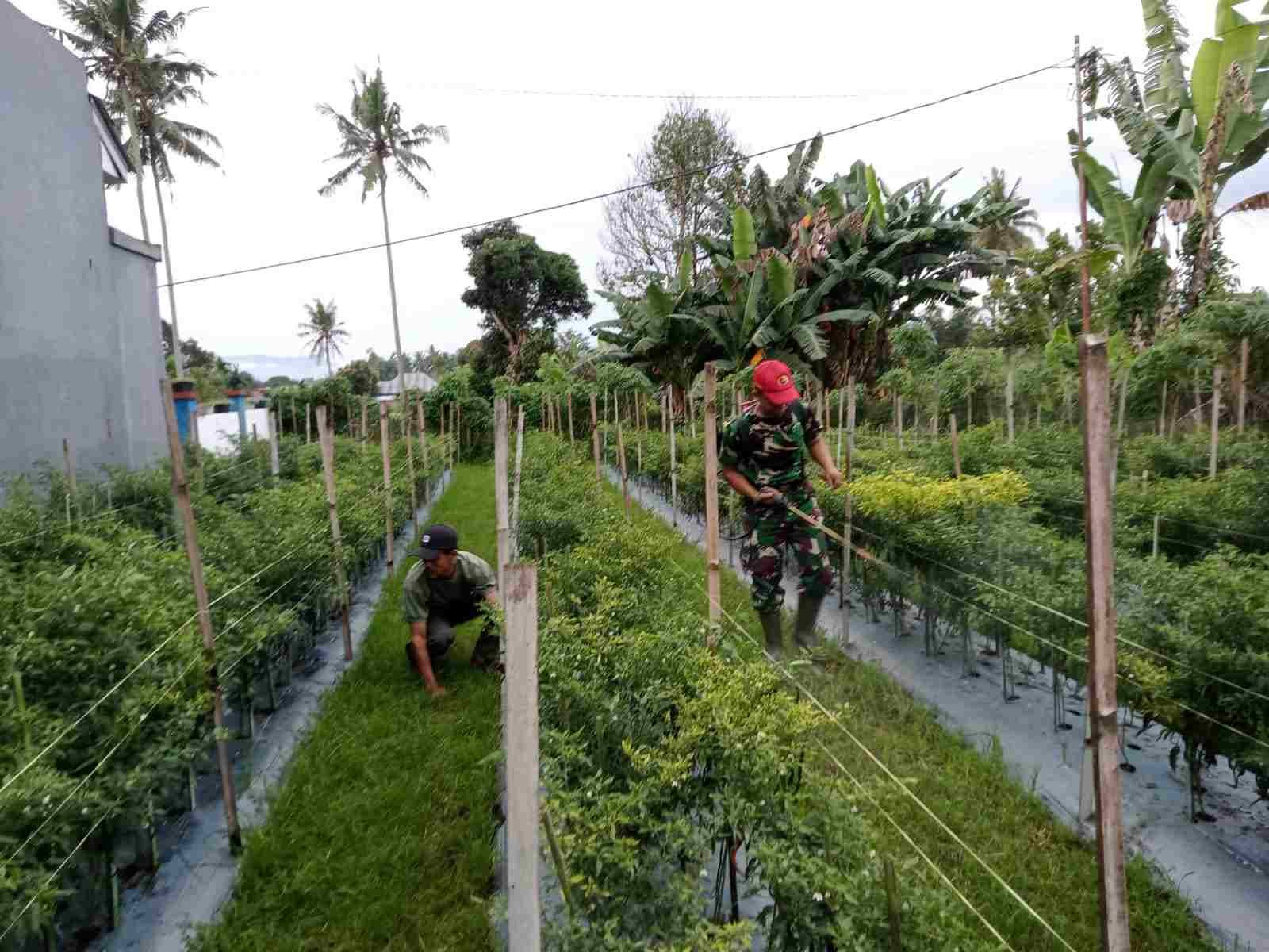 IMG-20250429-WA0264_2uIJ50jB0E