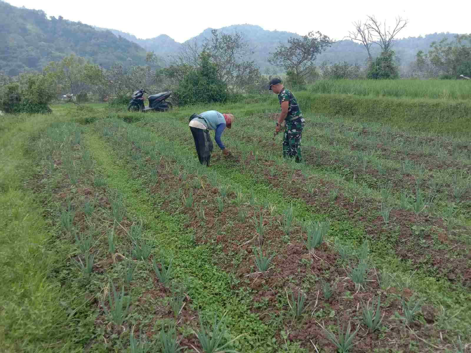 IMG-20250428-WA0157_PAivxpIy76