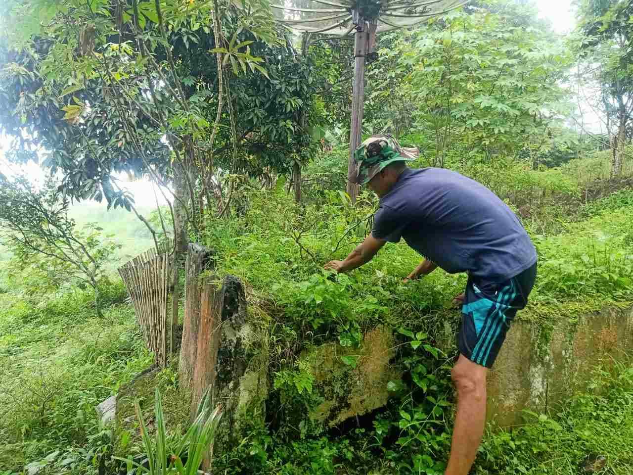 IMG-20250502-WA0178_20mTuiNZ3Y