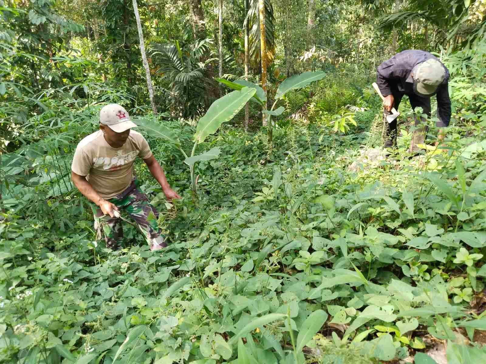 IMG-20250505-WA0160_NB7fLX5y3Y