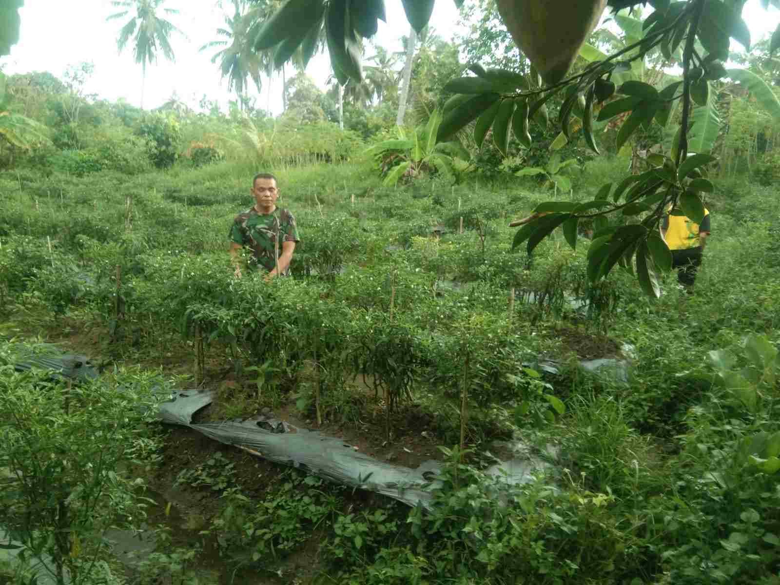 IMG-20250508-WA0204_4RK3R6SZ9D