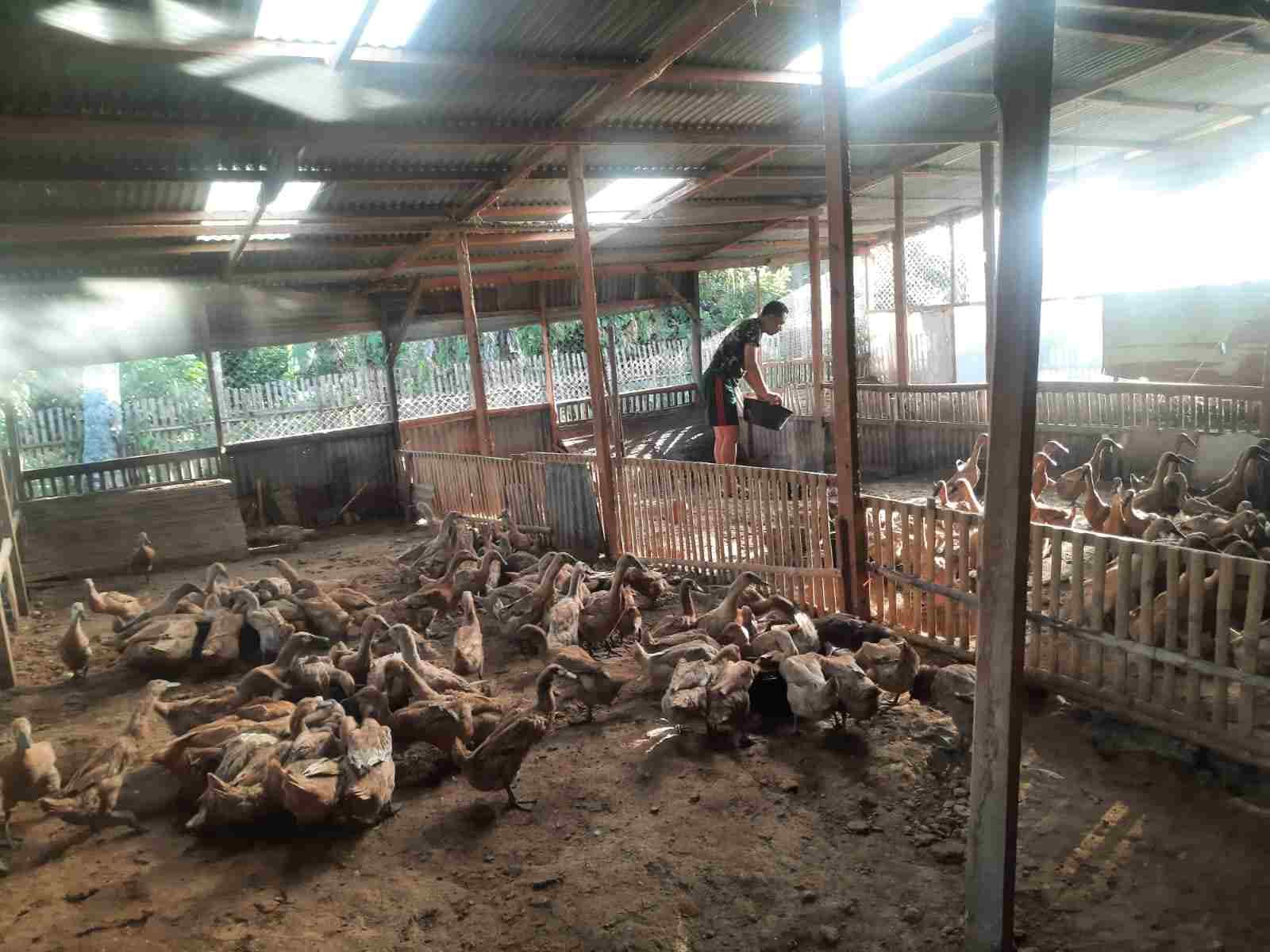 IMG-20250513-WA0130_JNekoK9O1Q