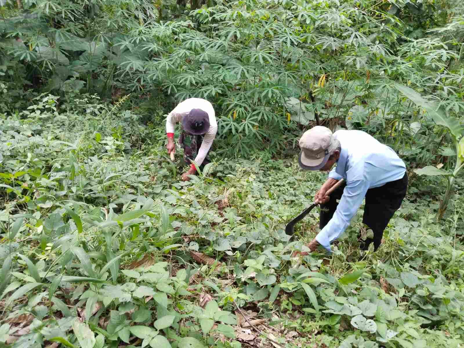 IMG-20250514-WA0185_Uz1bA1qn5c