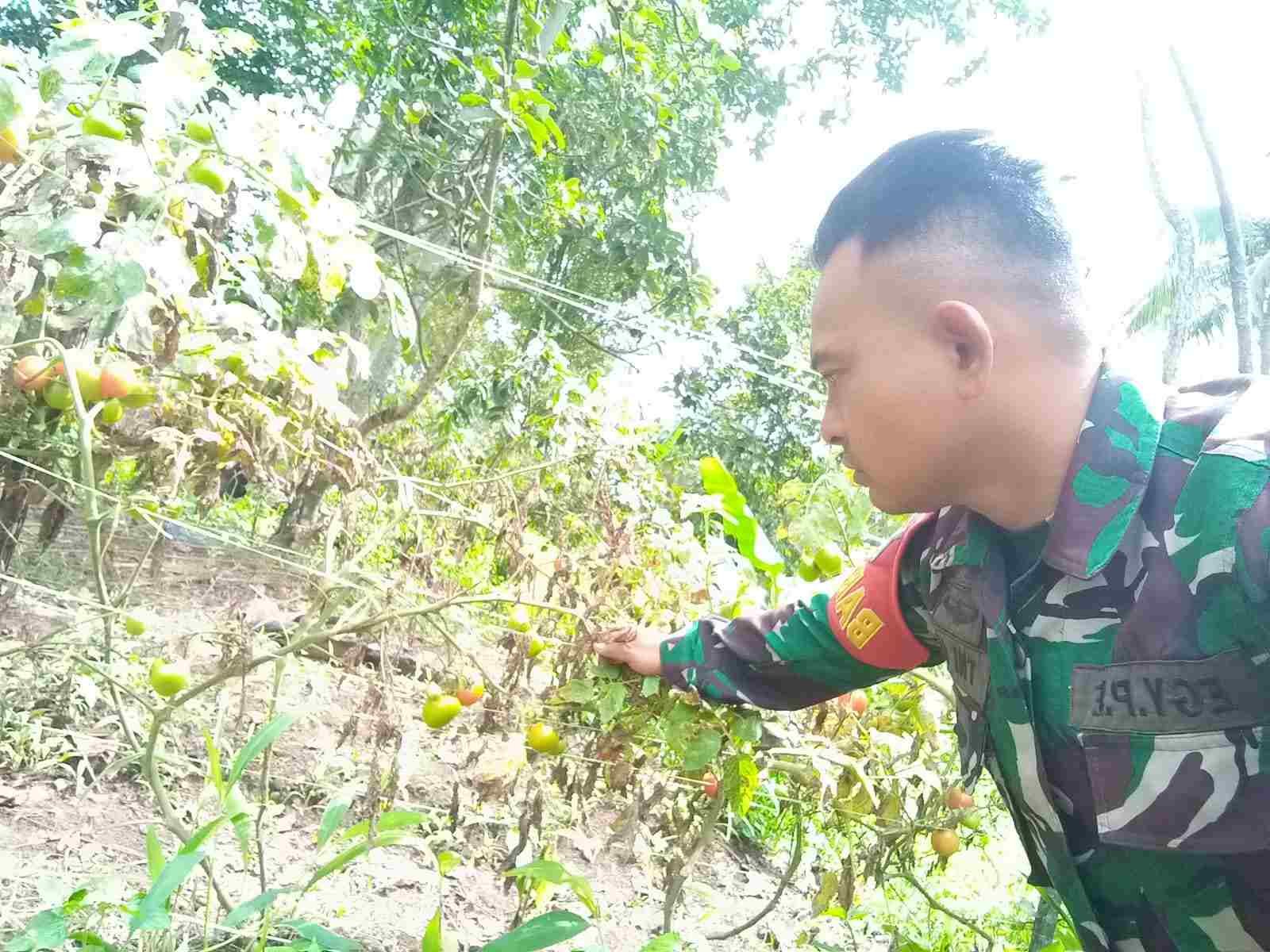 IMG-20250515-WA0294_sYlfS7aw3q