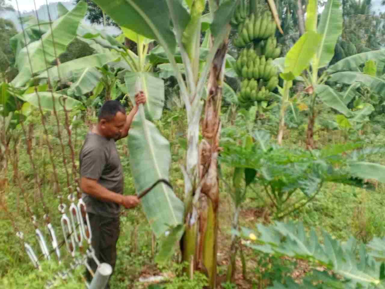 IMG-20250515-WA0298_hs088lWY62