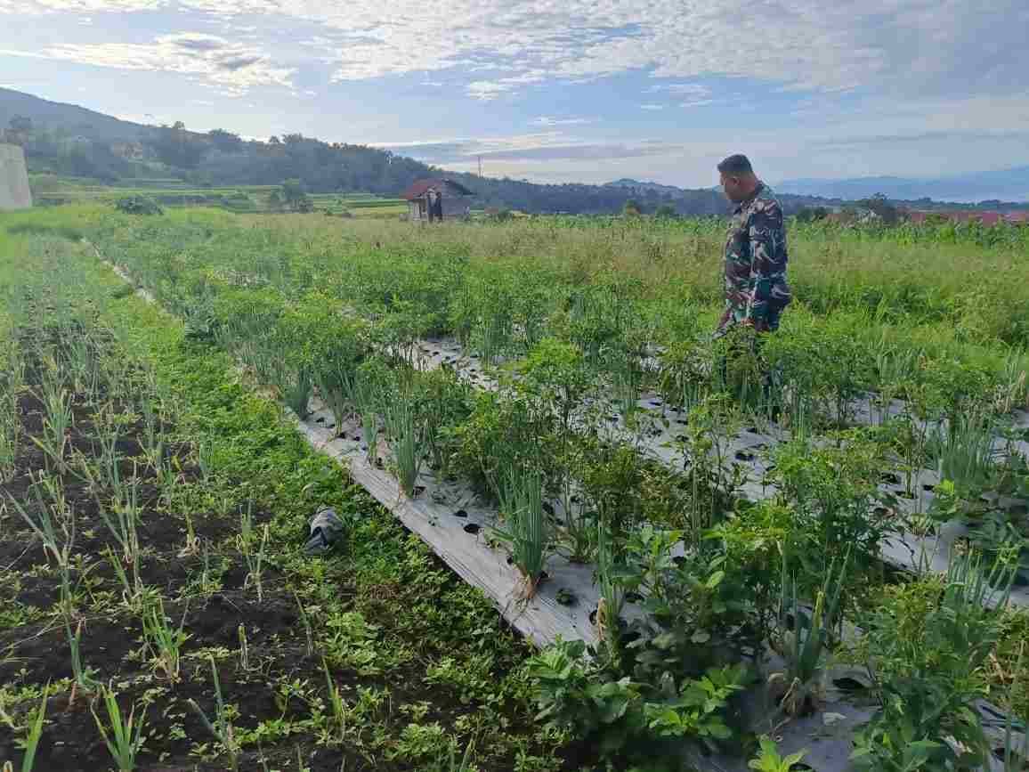 IMG-20250519-WA0327_nSfyb3s34Z