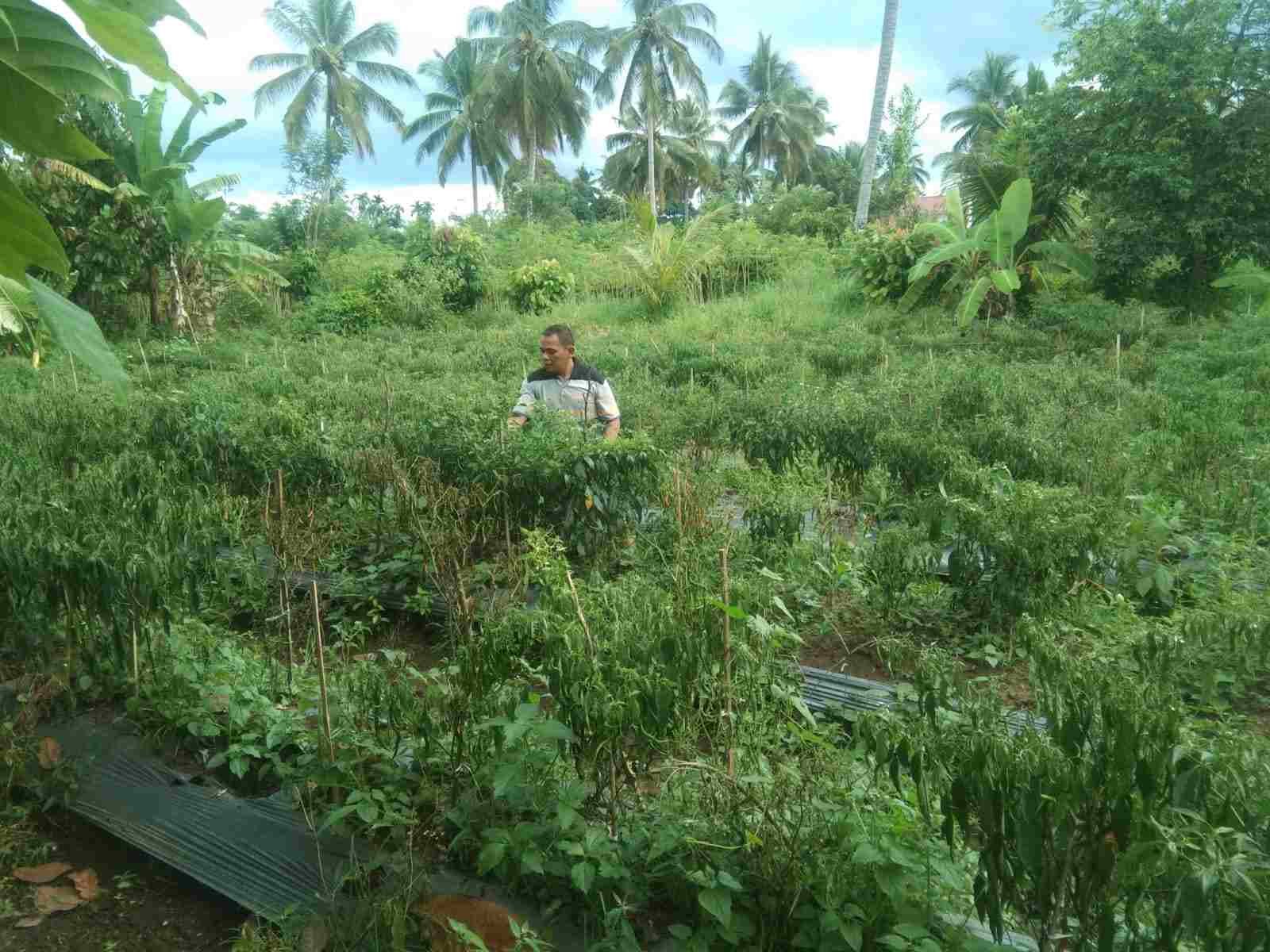 IMG-20250520-WA0338_Cs5GKIPz6w