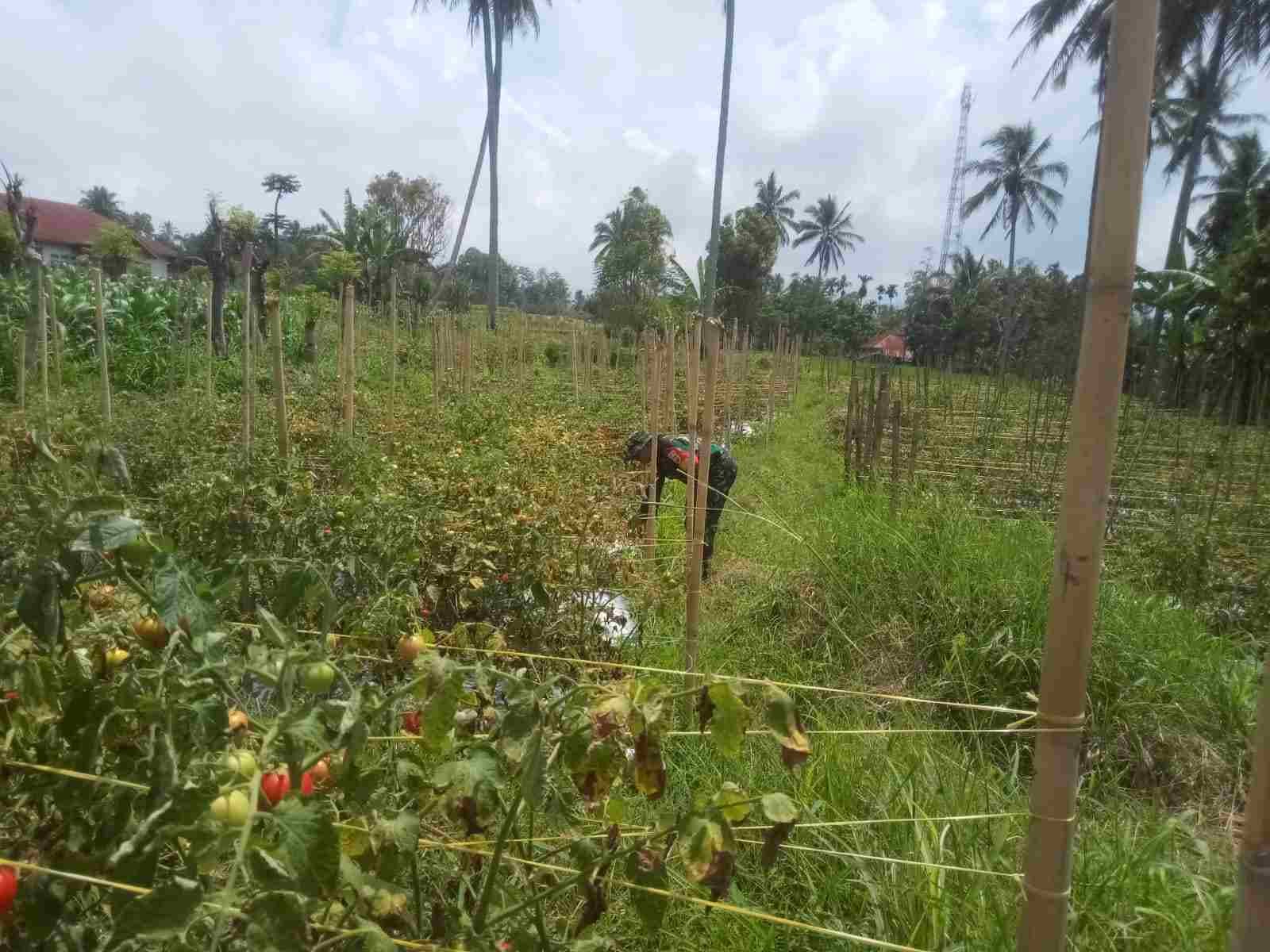 IMG-20250521-WA0295_1xt0U1Hw84