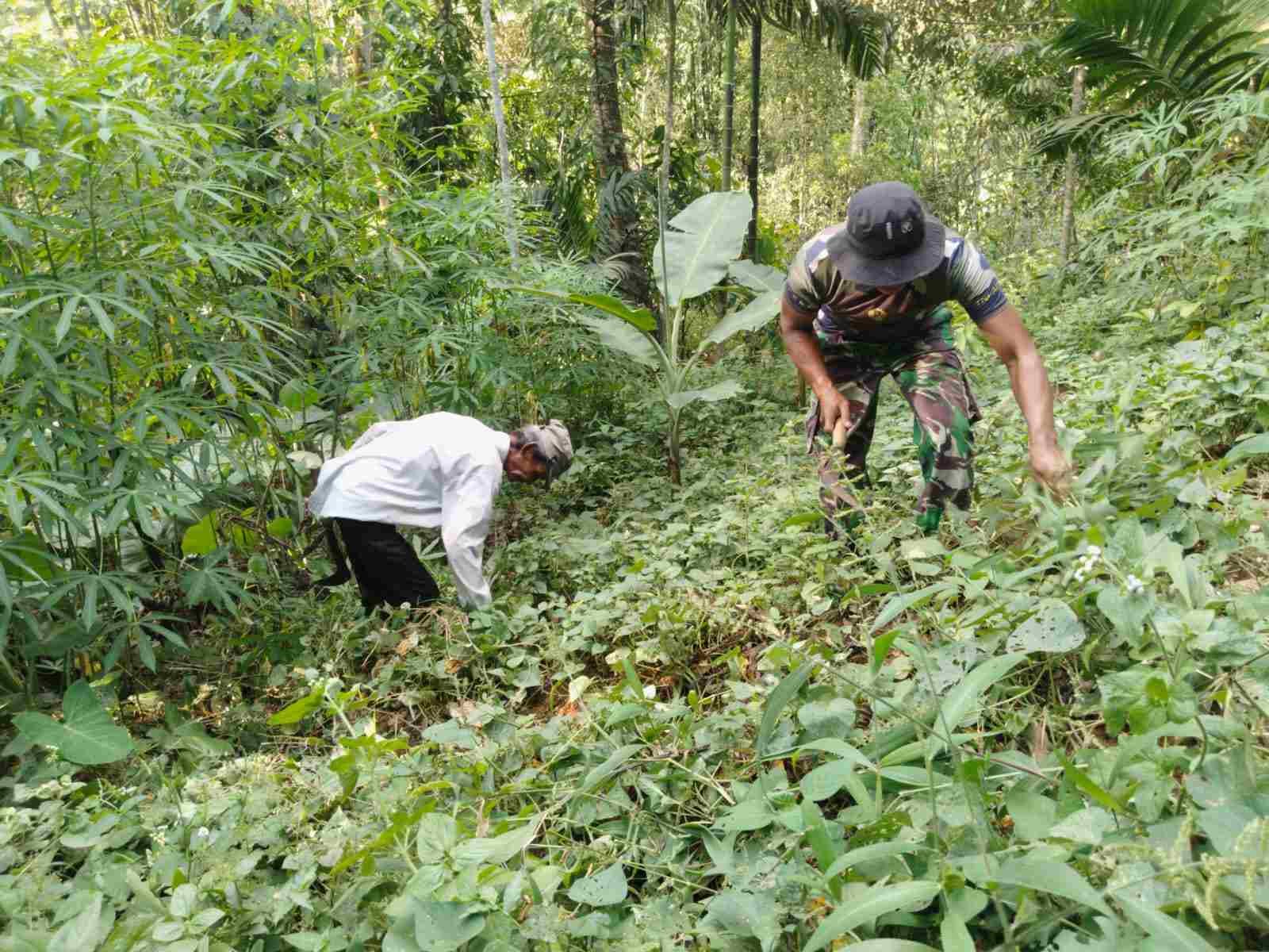 IMG-20250521-WA0304_nsiFxOib4z