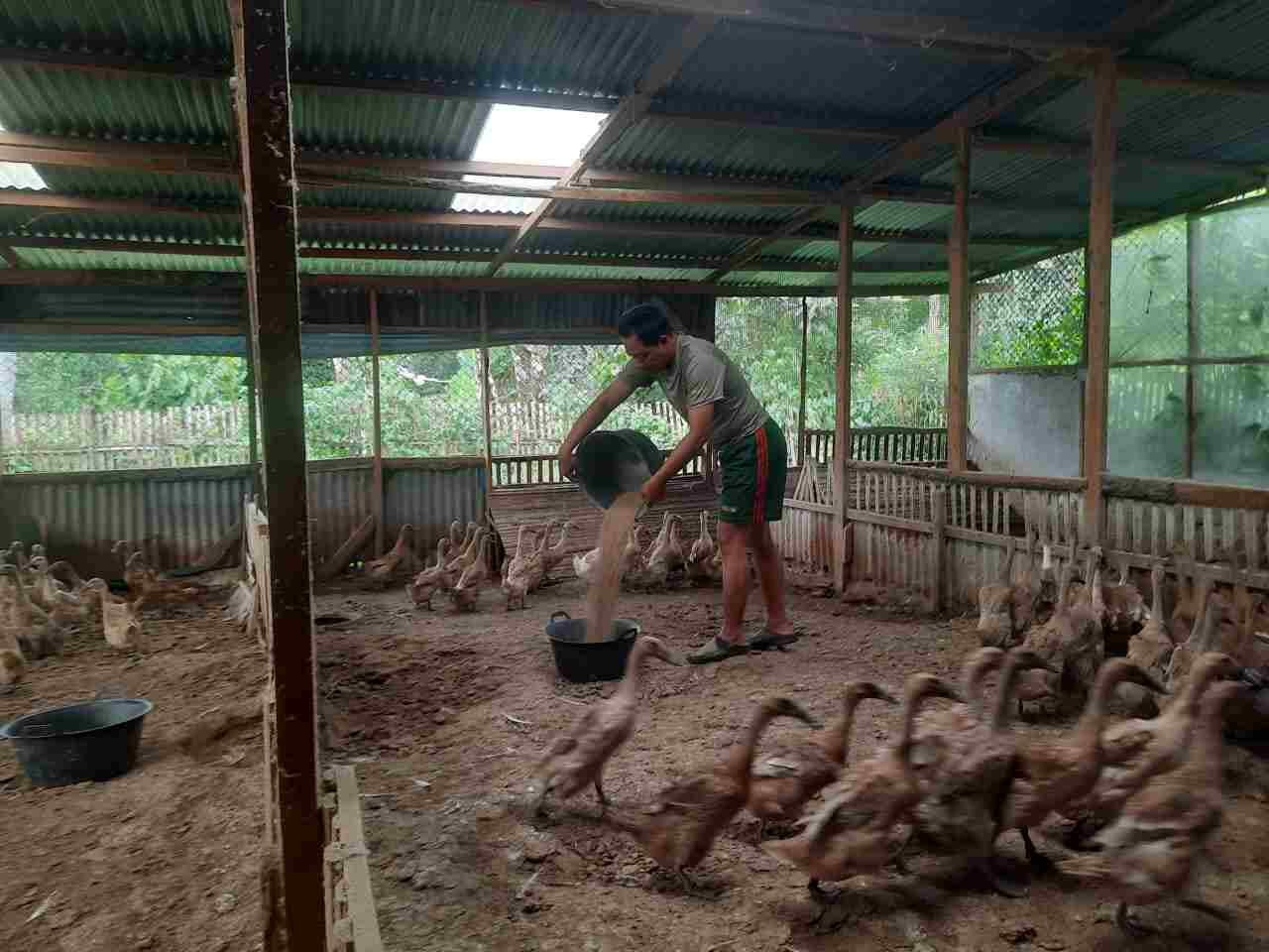 IMG-20250522-WA0357_OjklLeU82o