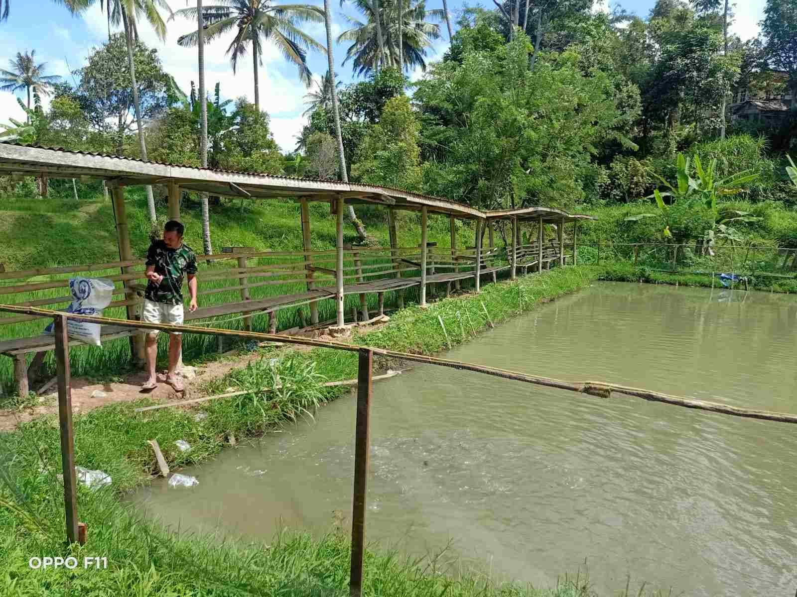 IMG-20250523-WA0276_q7PyEZaW8O