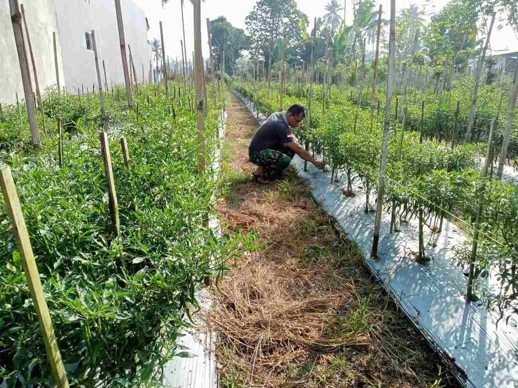 IMG-20250523-WA0281_aAD5hFNN3c