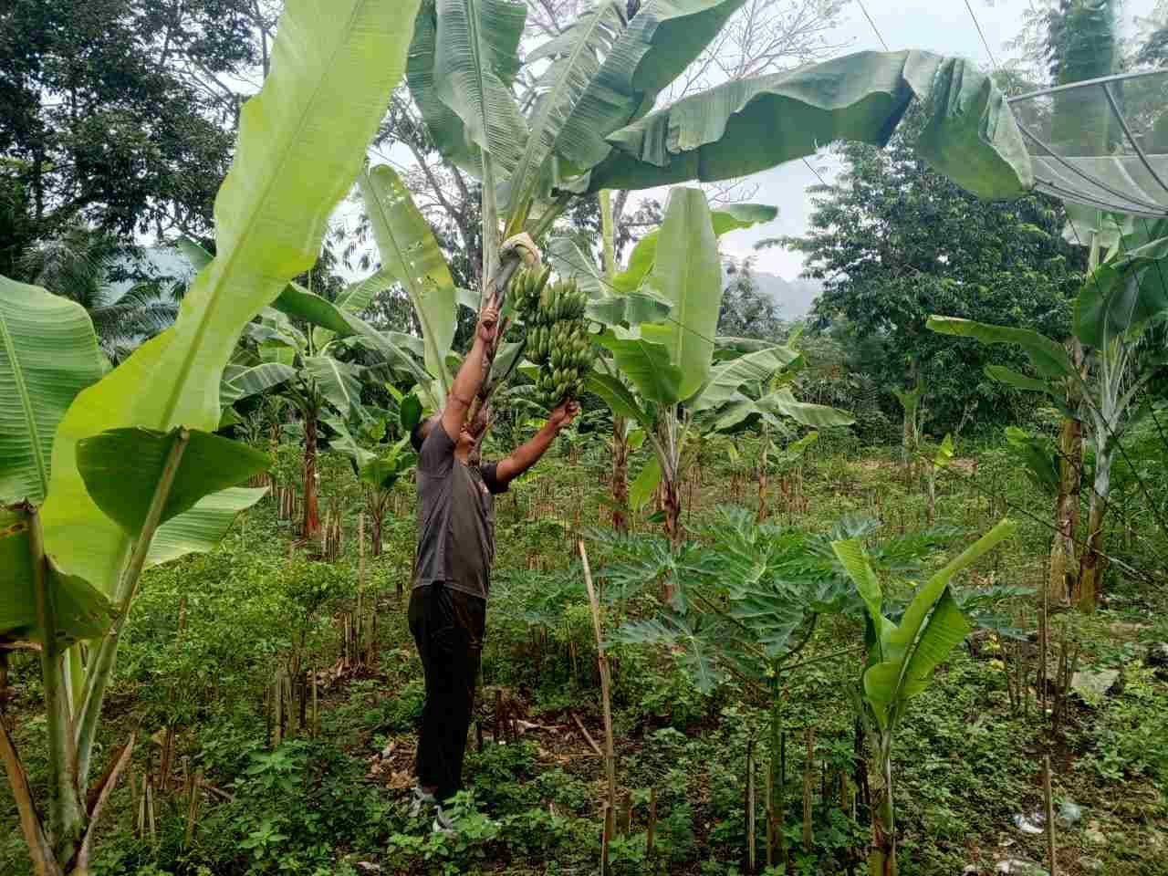 IMG-20250525-WA0255_qw5GEt1G7u