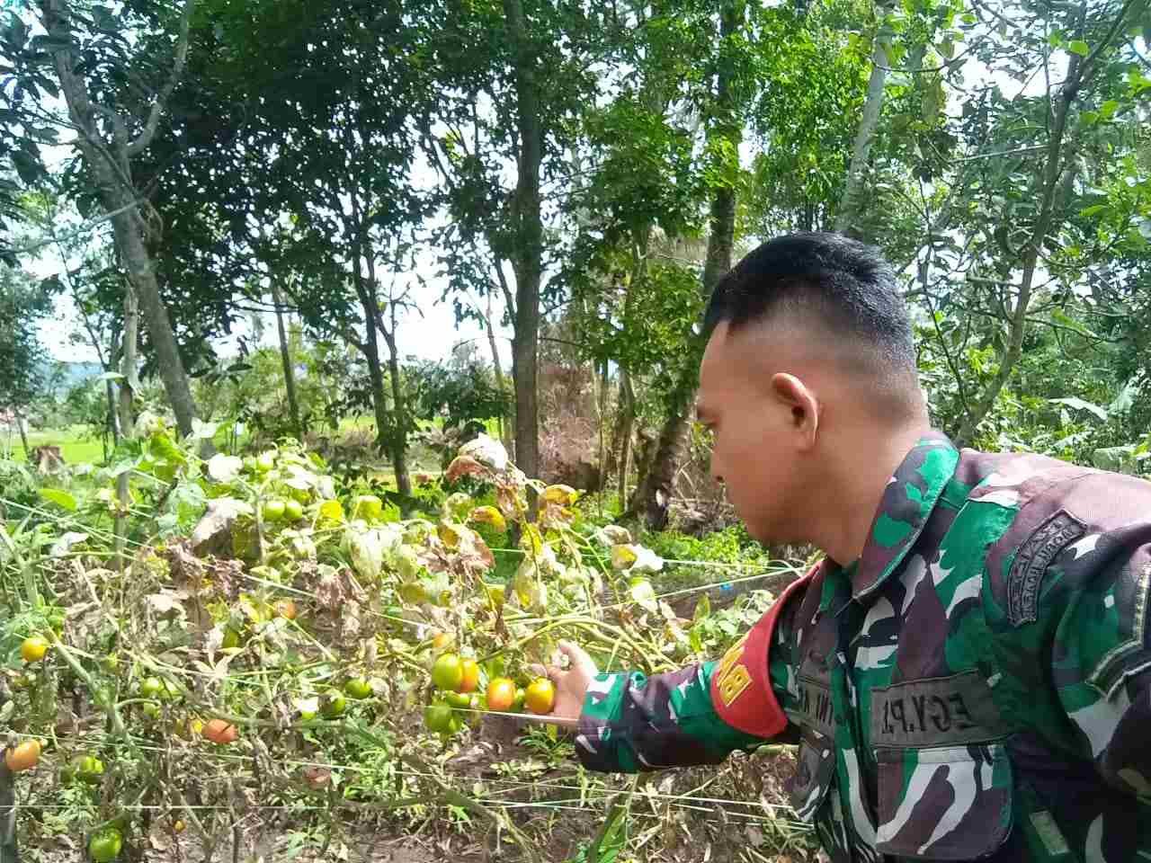 IMG-20250527-WA0294_MU7DJB2Q68