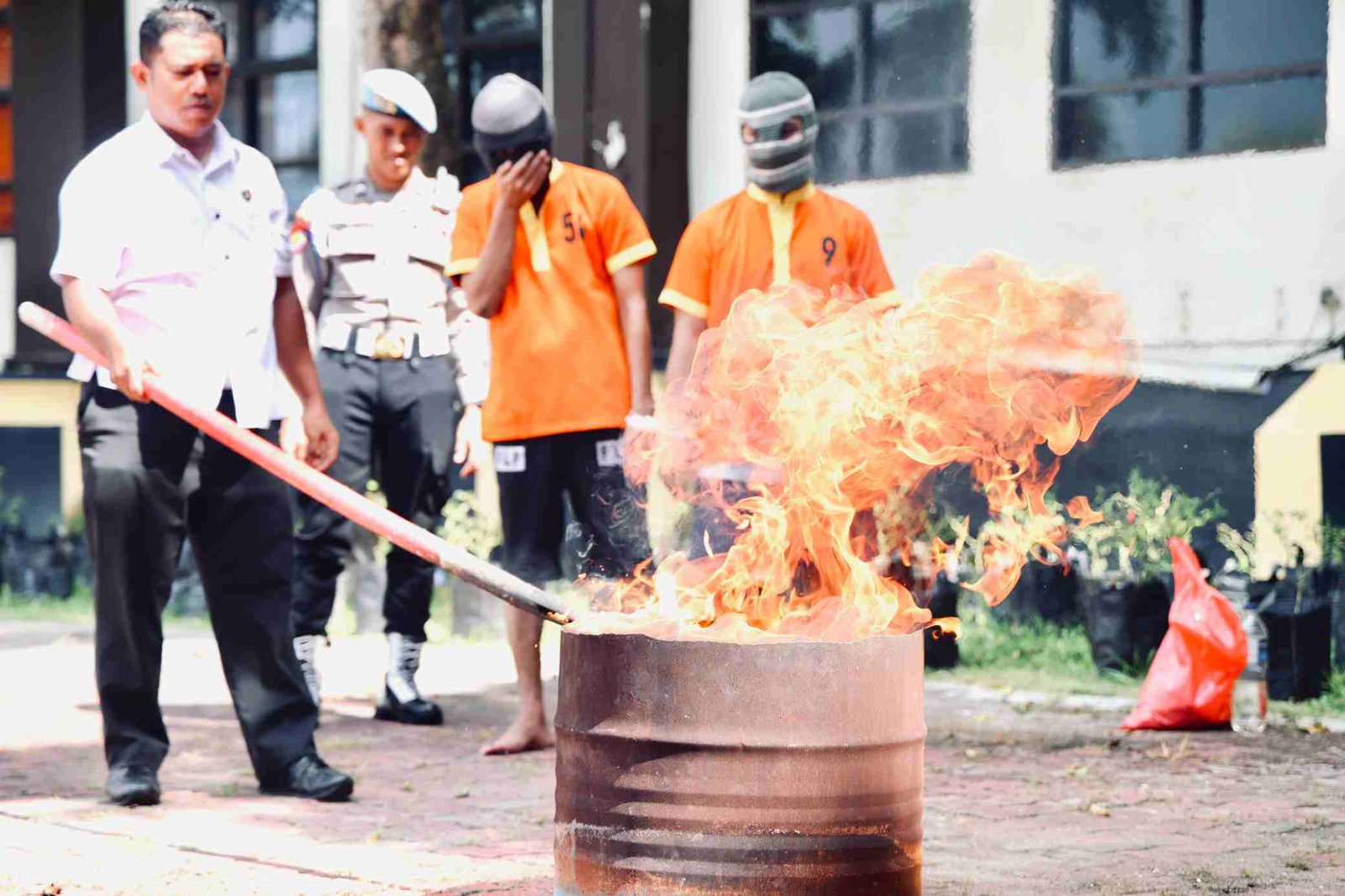 IMG-20250528-WA0389_VEz5NOFl8q