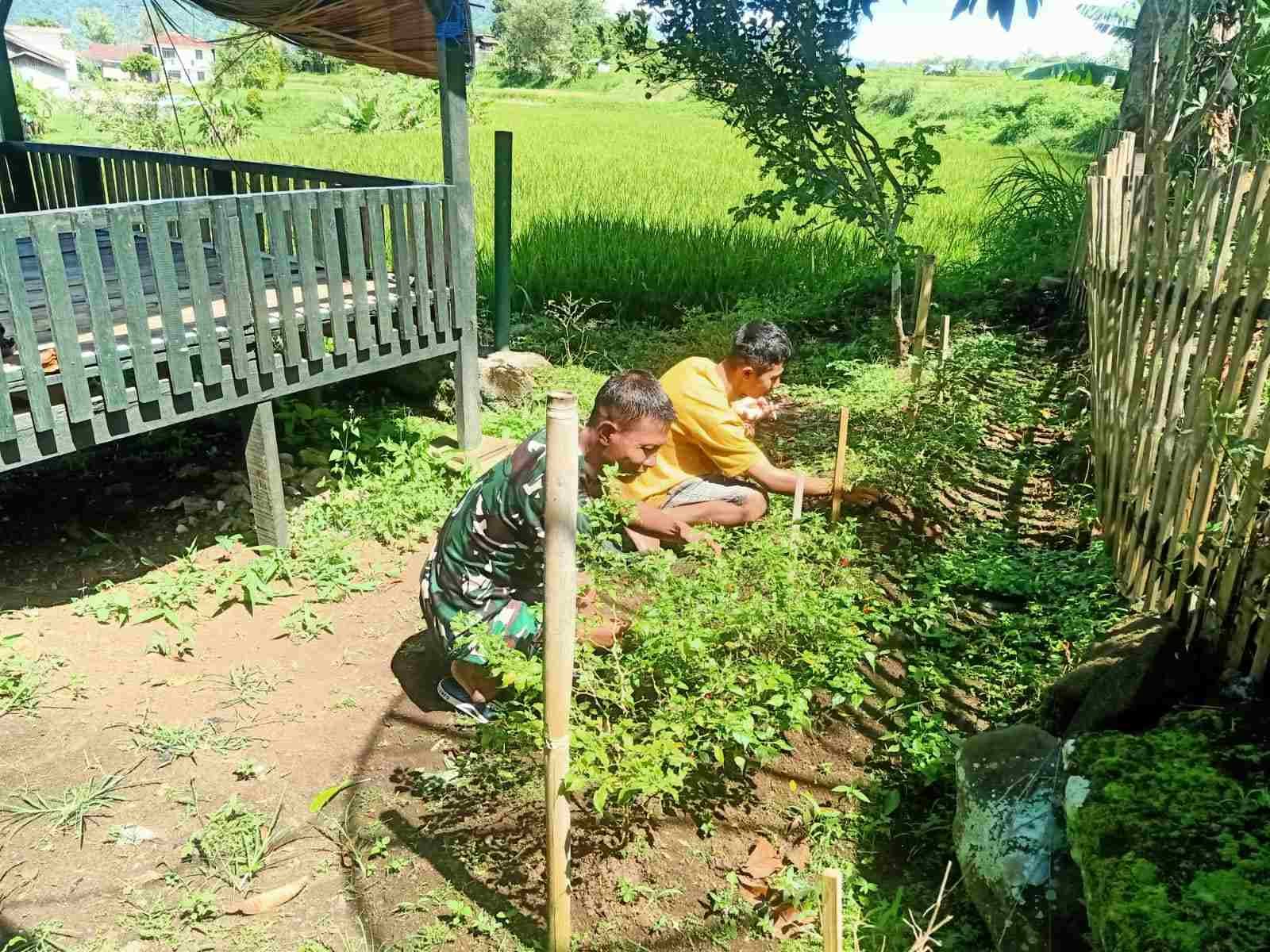 IMG-20250526-WA0279_KvAdL0Bo8l