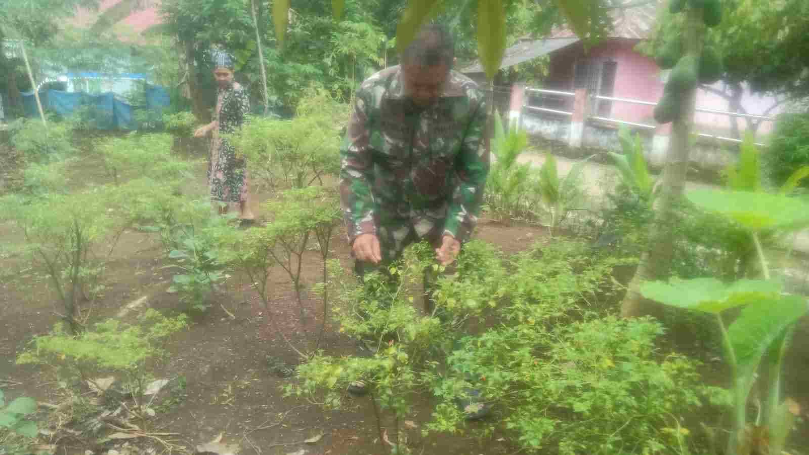 IMG-20250601-WA0258_hlmIsxjY6R