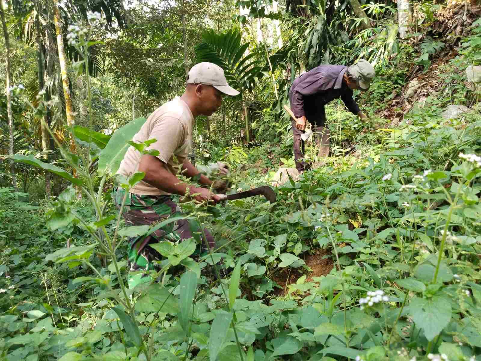 IMG-20250602-WA0275_RQ1RM5WA2c