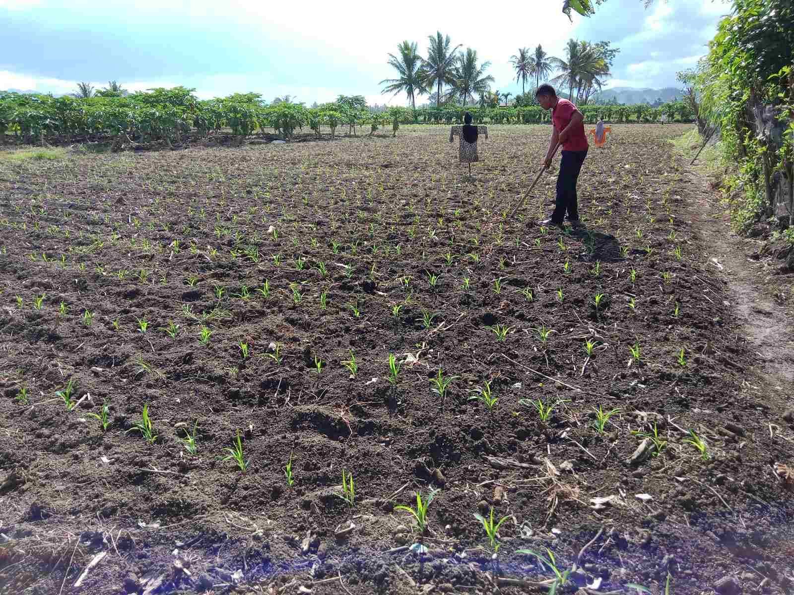 IMG-20250603-WA0238_ciMsimiy0q