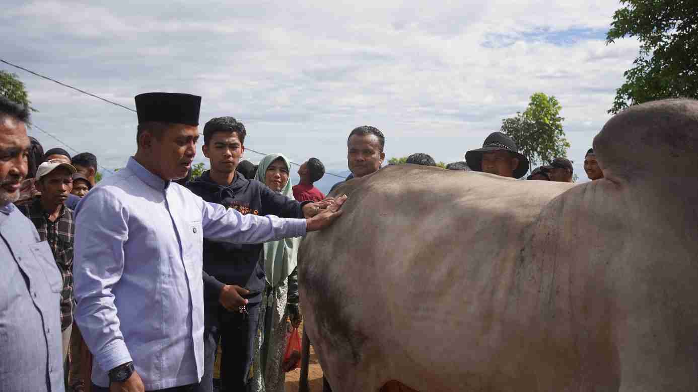 IMG-20250611-WA0279_Twk8H6ZI64