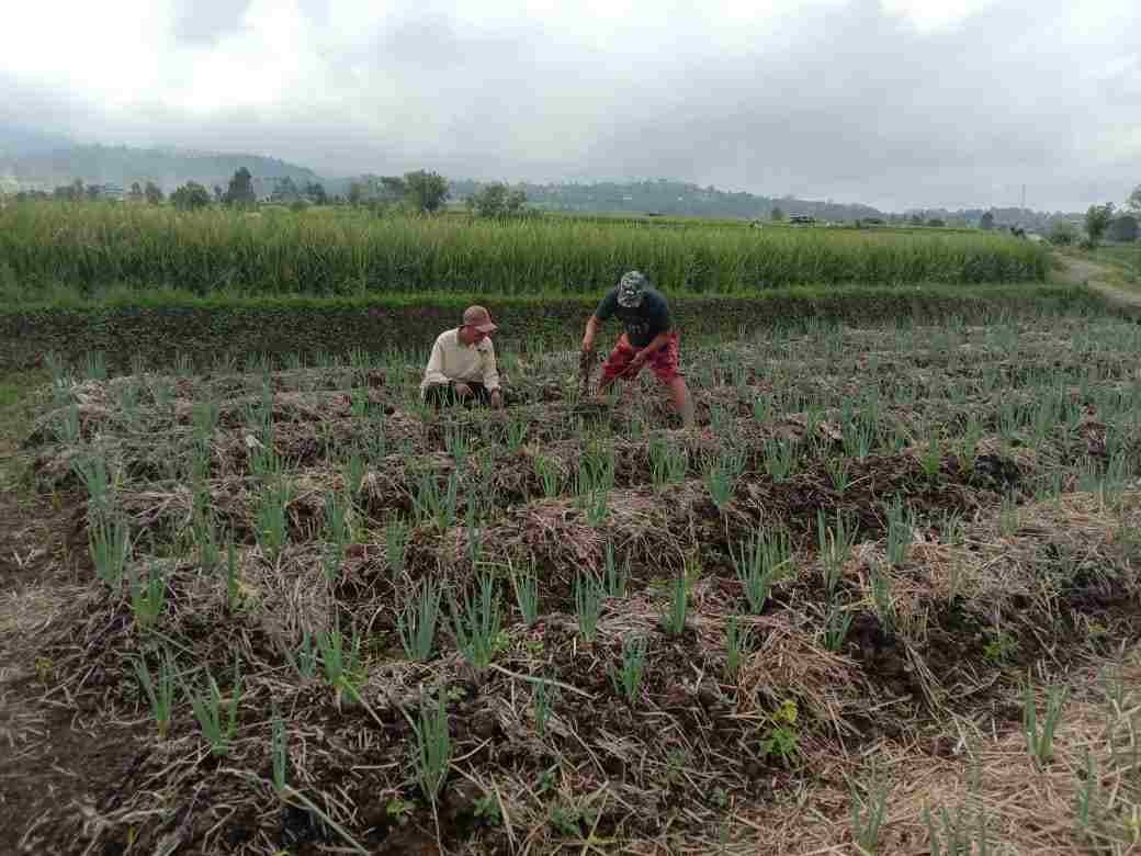 IMG-20250612-WA0402_nTvjj4jj81