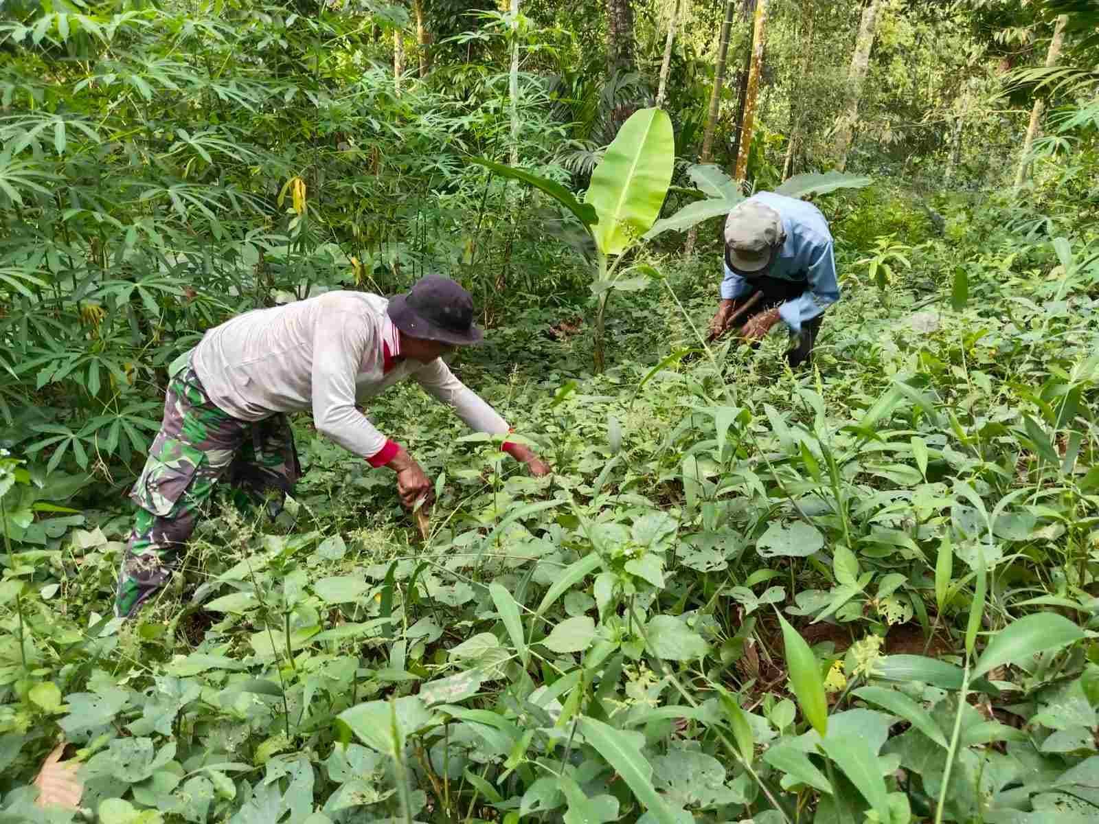 IMG-20250613-WA0335_POdjjzmx7S