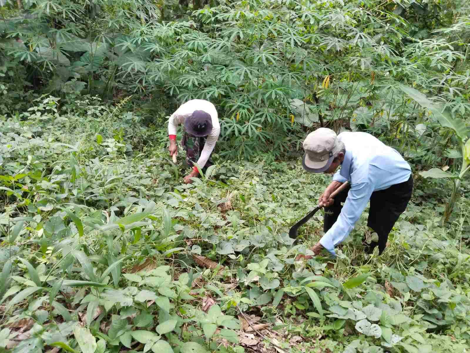 IMG-20250613-WA0336_KIeu2OuV5B