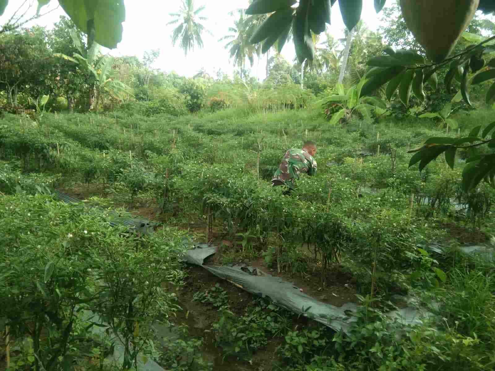 IMG-20250615-WA0175_kY8ZG7Jk5I