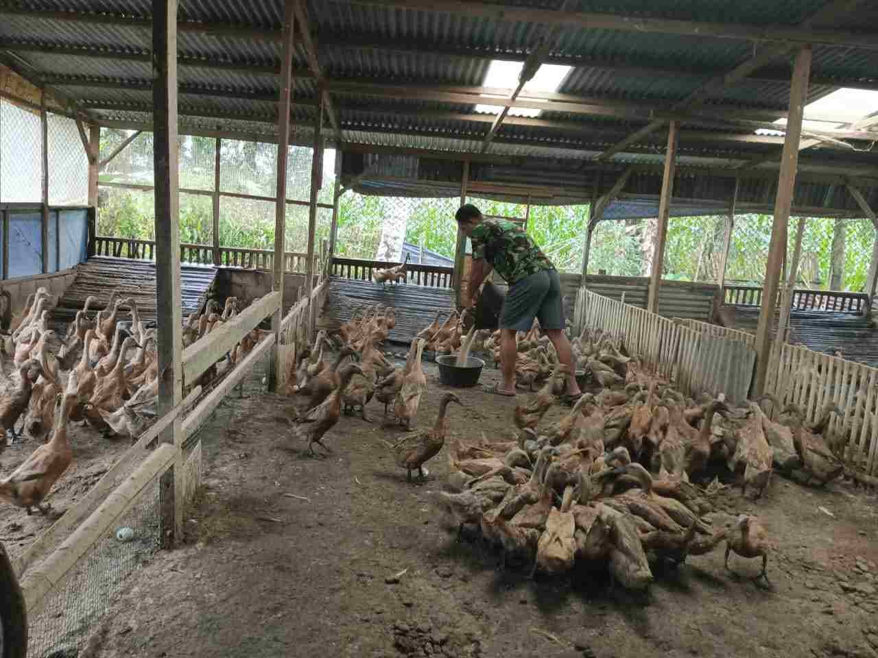 IMG-20250617-WA0353_jVjIYrz32Z