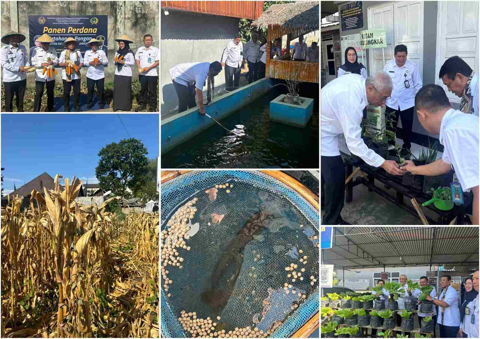 IMG-20250625-WA0222_ra6QEzqV4J