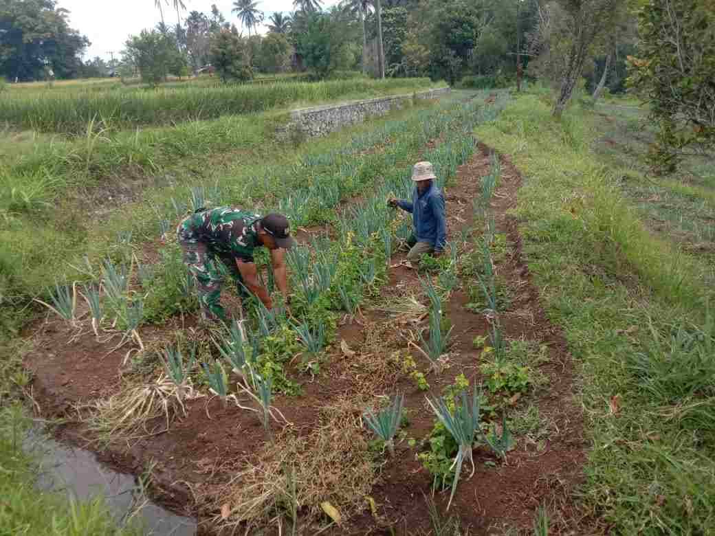 IMG-20250627-WA0437_52GOgb6M1w