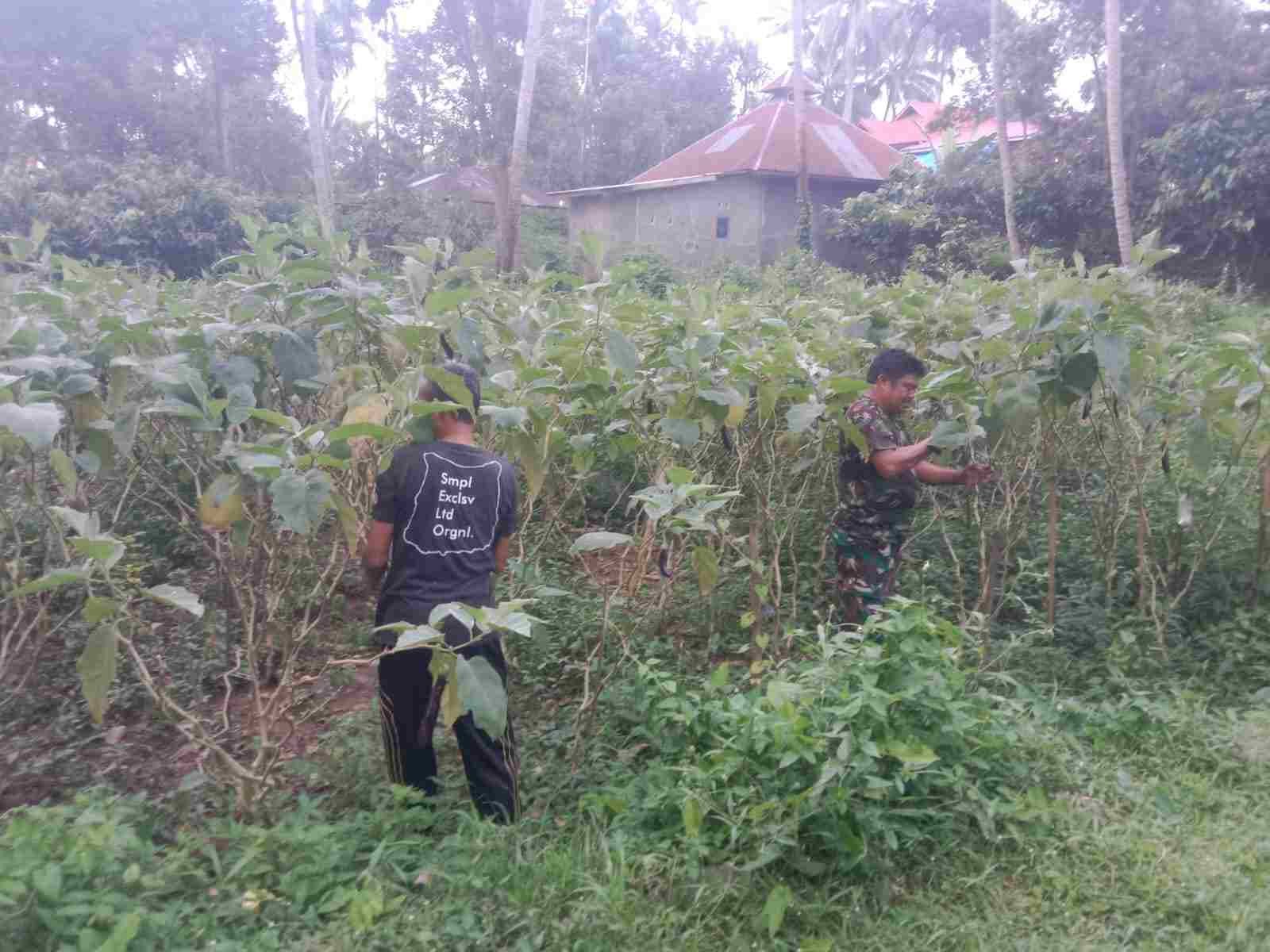 IMG-20250627-WA0443_YEHrLvtO0B